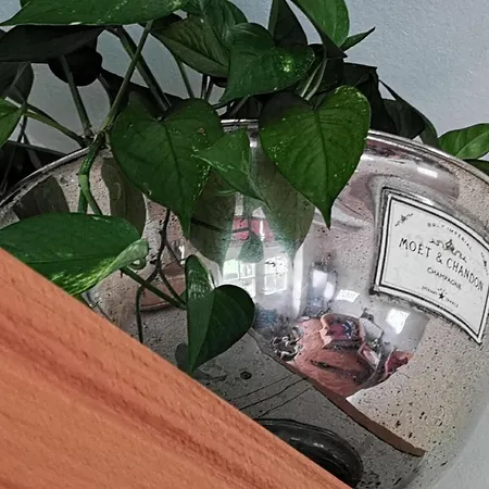 Luxuszeit Zu Zweit